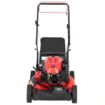 Craftsman M220C 21-Inch 163cc Gas Self-Propelled Lawn Mower
